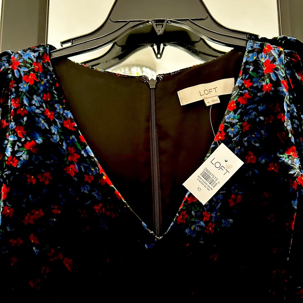 Ann Taylor Loft Velvet Floral V-Neck Dress